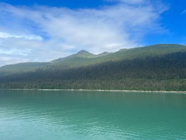 Endicott Arm manzarası, Juneau yakınlarında, Alaska 'da.