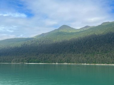 Endicott Arm manzarası, Juneau yakınlarında, Alaska 'da.