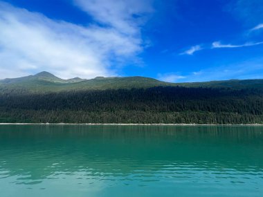 View of the Endicott Arm, near Juneau, in Alaska USA clipart