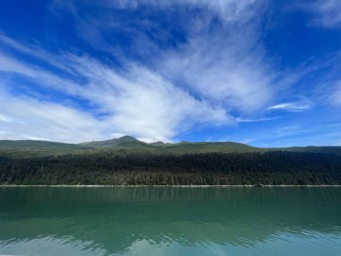 Endicott Arm manzarası, Juneau yakınlarında, Alaska 'da.