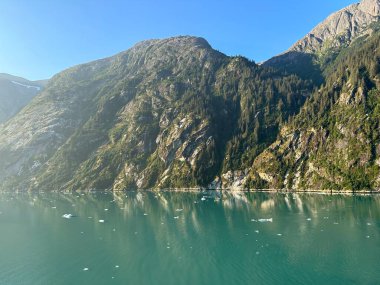 Endicott Arm manzarası, Juneau yakınlarında, Alaska 'da.