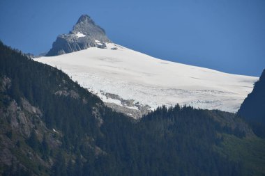 Endicott Arm manzarası, Juneau yakınlarında, Alaska 'da.
