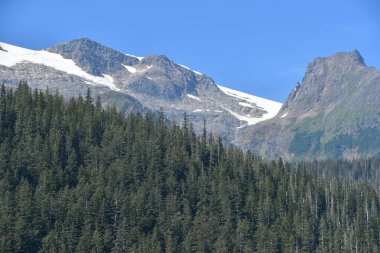 Endicott Arm manzarası, Juneau yakınlarında, Alaska 'da.