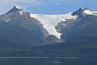 Endicott Arm manzarası, Juneau yakınlarında, Alaska 'da.