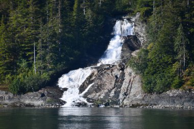 Endicott Arm Şelalesi, Juneau yakınlarında, Alaska 'da.