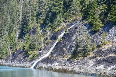 Endicott Arm Şelalesi, Juneau yakınlarında, Alaska 'da.