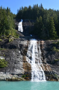 Endicott Arm Şelalesi, Juneau yakınlarında, Alaska 'da.
