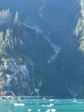 Endicott Arm Şelalesi, Juneau yakınlarında, Alaska 'da.