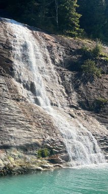 Endicott Arm Şelalesi, Juneau yakınlarında, Alaska 'da.