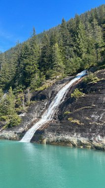 Endicott Arm Şelalesi, Juneau yakınlarında, Alaska 'da.