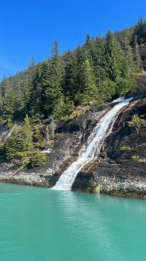 Endicott Arm Şelalesi, Juneau yakınlarında, Alaska 'da.
