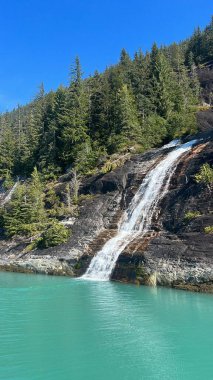Endicott Arm Şelalesi, Juneau yakınlarında, Alaska 'da.