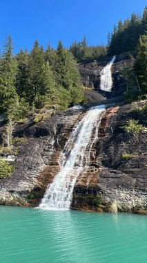 Endicott Arm Şelalesi, Juneau yakınlarında, Alaska 'da.