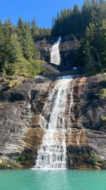 Endicott Arm Şelalesi, Juneau yakınlarında, Alaska 'da.
