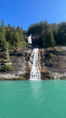 Endicott Arm Şelalesi, Juneau yakınlarında, Alaska 'da.