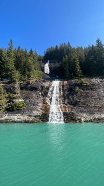 Endicott Arm Şelalesi, Juneau yakınlarında, Alaska 'da.