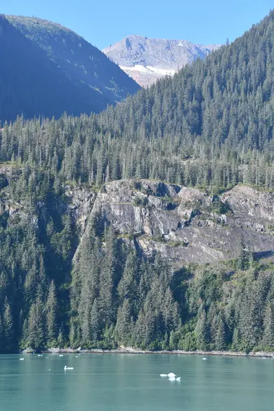 Endicott Arm manzarası, Juneau yakınlarında, Alaska 'da.