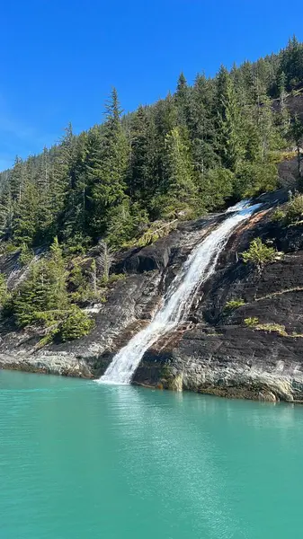 Endicott Arm Şelalesi, Juneau yakınlarında, Alaska 'da.
