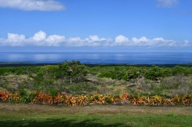 Hawaii 'deki Büyük Ada' dan Manzaralı