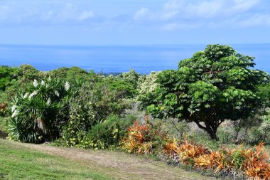 Hawaii 'deki Büyük Ada' dan Manzaralı