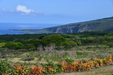 Hawaii 'deki Büyük Ada' dan Manzaralı