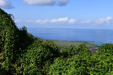 Hawaii 'deki Büyük Ada' dan Manzaralı