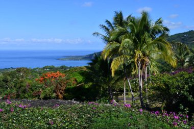 Hawaii 'deki Büyük Ada' dan Manzaralı