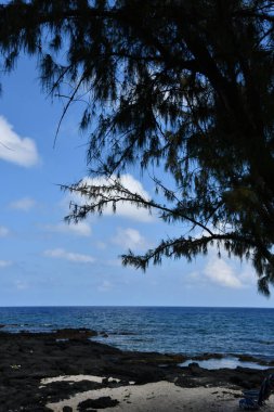 Milolii Plajı Parkı Hawaii 'deki Büyük Ada' da Kaptan Cook 'ta.