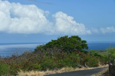 Hawaii 'deki Büyük Ada' da Kaptan Cook 'tan Pasifik Okyanusu Manzarası