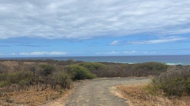 Hawaii 'deki Büyük Ada' da, Kau 'da Papakolea Yeşil Kum Kumsalı