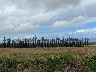 Hawaii 'nin en güney noktası olan Ka Lae' ye gidiyoruz.