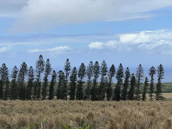 stock image Driving to Ka Lae, the southernmost point of the Big Island of Hawaii