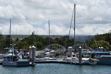 HALEIWA, HI - 24 AUG: Hawaii 'deki Oahu adasındaki Haleiwa Sahil Parkı' nda tekne limanı, 24 Ağustos 2022.