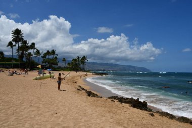 HALEIWA, HI - 24 AUG: 24 Ağustos 2022 'de Hawaii' deki Oahu adasındaki Haleiwa Alii Sahil Parkı.
