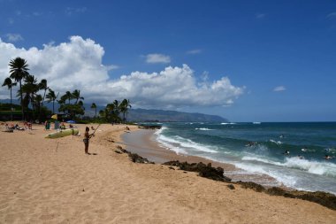 HALEIWA, HI - 24 AUG: 24 Ağustos 2022 'de Hawaii' deki Oahu adasındaki Haleiwa Alii Sahil Parkı.