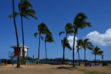 HALEIWA, HI - 24 AUG: 24 Ağustos 2022 'de Hawaii' deki Oahu adasındaki Haleiwa Alii Sahil Parkı.