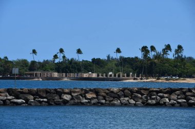 HALEIWA, HI - 24 AUG: 24 Ağustos 2022 'de Hawaii' deki Oahu adasındaki Haleiwa Alii Sahil Parkı.