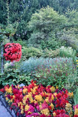 VICTORIA, BC, CANADA - 27 AUG: Victoria, British Columbia, Kanada 'daki Butchart Gardens, 27 Ağustos 2023.