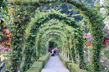 VICTORIA, BC, CANADA - 27 AUG: Victoria, British Columbia, Kanada 'daki Butchart Gardens, 27 Ağustos 2023.