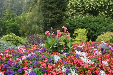 VICTORIA, BC, CANADA - 27 AUG: Victoria, British Columbia, Kanada 'daki Butchart Gardens, 27 Ağustos 2023.