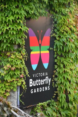 VICTORIA, BC, CANADA - 27 AUG: Victoria Butterfly Gardens, British Columbia, Kanada, 27 Ağustos 2023.