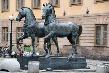 STOCKHOLM, SWEDEN - 30 JUL: İsveç 'in Stockholm kentindeki Saint Mark Atları, 28 Temmuz 2023' te görüldüğü gibi.