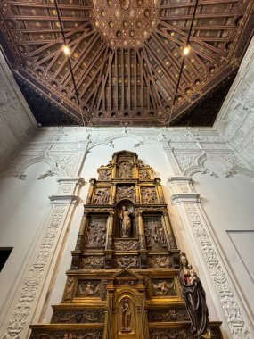 ALCALA de HENARES, İspanya - 14 AUG: Francisco Valles 'in mezarı 14 Ağustos 2024 tarihinde İspanya' da Madrid yakınlarındaki Alcala De Henares Alcala Üniversitesi 'ndeki San Ildefonso Üniversitesi Şapeli' nde görüldü..
