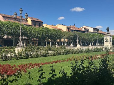 ALCALA DE HENARES, İSPA - 14 AUG: Madrid Plaza de Cervantes 'te Miguel de Cervantes' in heykeli, 14 Ağustos 2024 'te görüldüğü gibi.