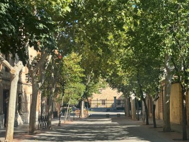 ALCALA DE HENARES, İSPA - 14 AUG: İspanya 'nın Alcala de Henares kasabası, 14 Ağustos 2024.
