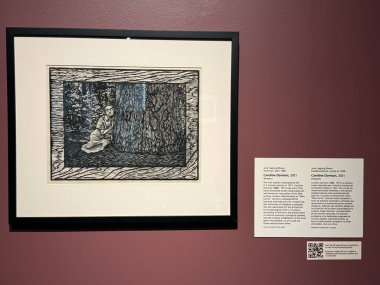 Springfield, Massachusetts 'teki Michele ve Donald DAmour Güzel Sanatlar Müzesi' nde sergi 3 Kasım 2024 'te görüldü..