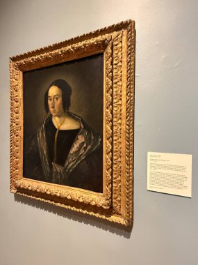 Springfield, Massachusetts 'teki Michele ve Donald DAmour Güzel Sanatlar Müzesi' nde sergi 3 Kasım 2024 'te görüldü..