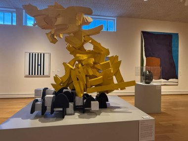 Springfield, Massachusetts 'teki Michele ve Donald DAmour Güzel Sanatlar Müzesi' nde sergi 3 Kasım 2024 'te görüldü..