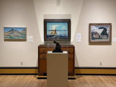 Springfield, Massachusetts 'teki Michele ve Donald DAmour Güzel Sanatlar Müzesi' nde sergi 3 Kasım 2024 'te görüldü..