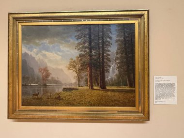 Springfield, Massachusetts 'teki Michele ve Donald DAmour Güzel Sanatlar Müzesi' nde sergi 3 Kasım 2024 'te görüldü..